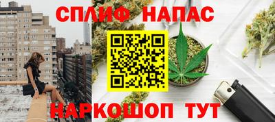 ECSTASY Камышлов