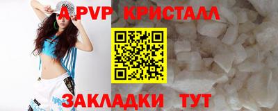 ECSTASY Камышлов
