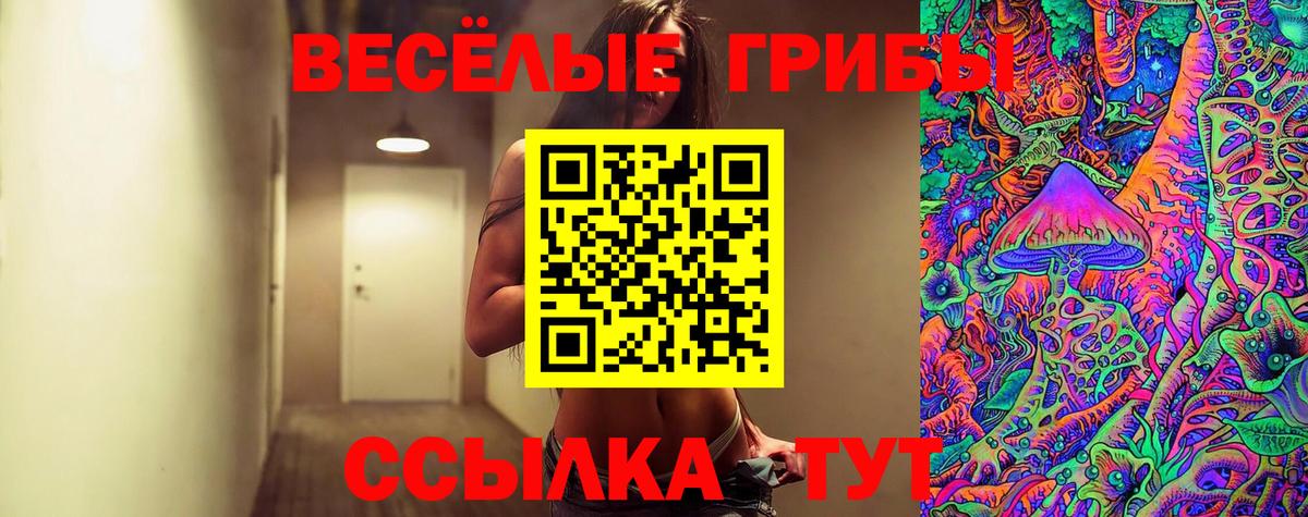 Галлюциногенные грибы мухоморы Котельники