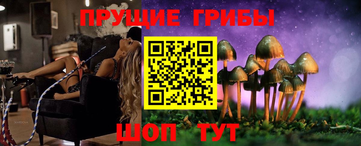 Котельники  Псилоцибиновые грибы Psilocybe  Галлюциногенные грибы ЛСД  Вход с VPN 